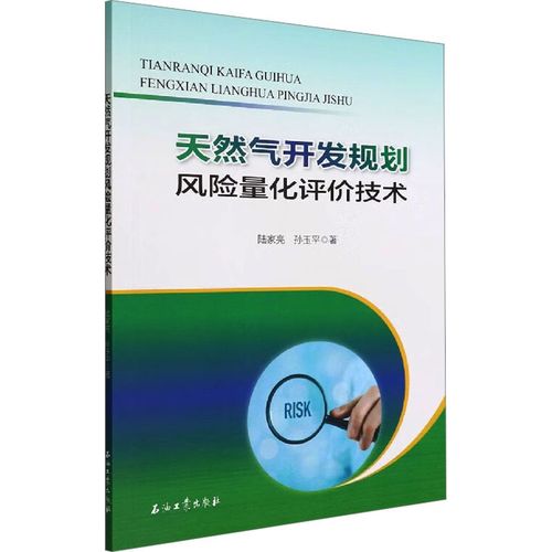 天然氣開發(fā)規(guī)劃風(fēng)險量化評價技術(shù) 陸家亮,孫玉平 著 工業(yè)技術(shù)其它專業(yè)