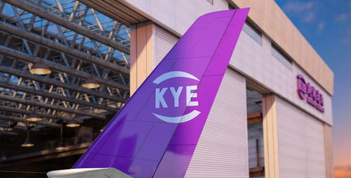 雙十二 電商狂歡,跨越速運將時效 技術 服務 一把抓